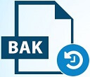 recover lost BAK files